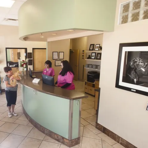 The front desk of Pinnacle Peak Animal Hospital with two veterinary staff greeting a pet parent and their pet